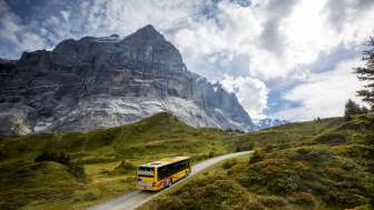 Mountain Hotel Grosse Scheidegg Mountain Hotel Grosse Scheidegg