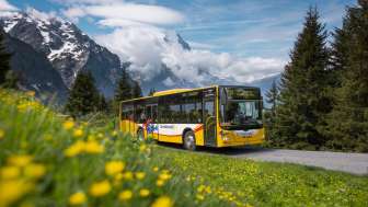 Grosse Scheidegg mountain bus route no. 128